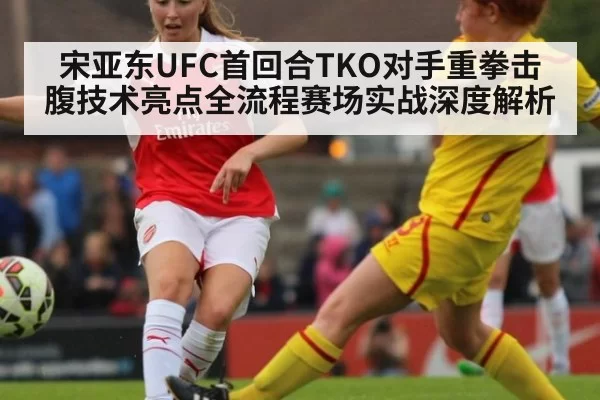宋亚东UFC首回合TKO对手重拳击腹技术亮点全流程赛场实战深度解析